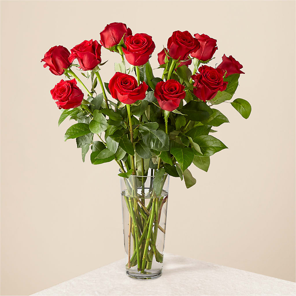 Long Stem Red Rose Bouquet – Woodbury Flowers, Woodbury GA