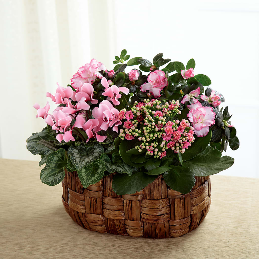 Pink Assortment – Woodbury Flowers, Woodbury GA