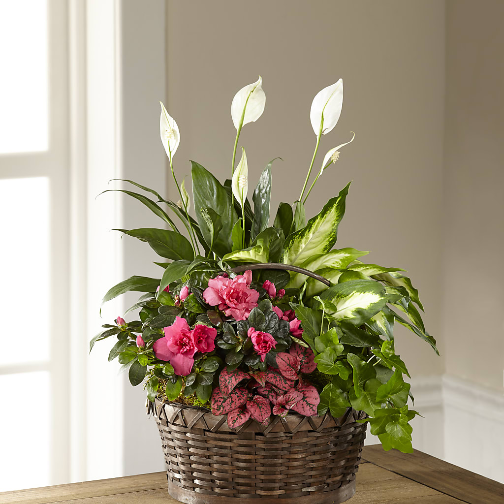 Dream in Pink Dishgarden – Woodbury Flowers, Woodbury GA