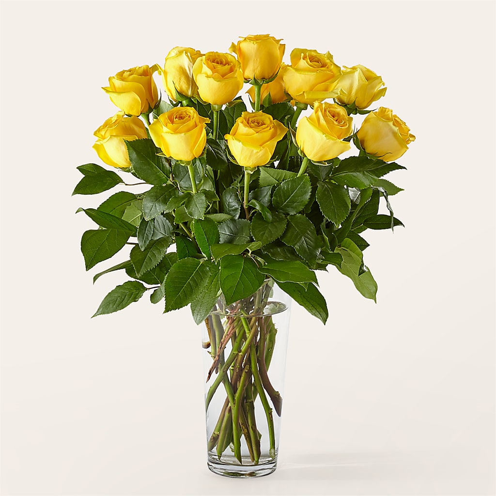 Long Stem Yellow Rose Bouquet – Woodbury Flowers, Woodbury GA