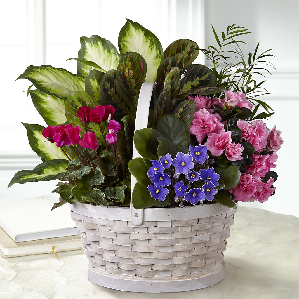 Peaceful Garden Planter – Woodbury Flowers, Woodbury GA