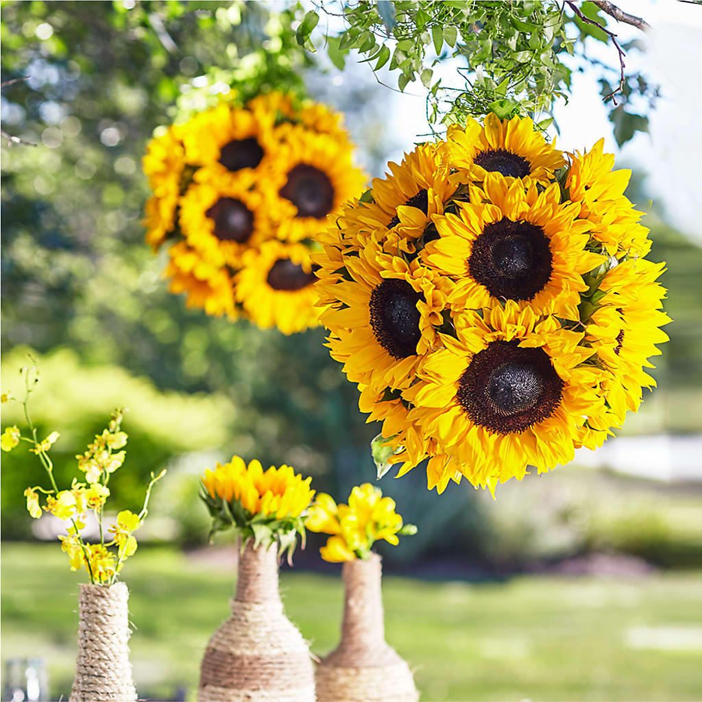 Sublime Garden Hanging Arrangement – Woodbury Flowers, Woodbury GA