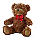 Adorable Plush Bear –  Woodbury Flowers, Woodbury GA