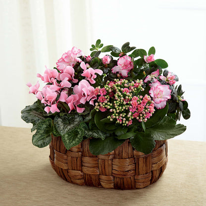 Pink Assortment –  Woodbury Flowers, Woodbury GA