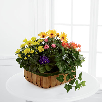 Gentle Blossoms Basket –  Woodbury Flowers, Woodbury GA