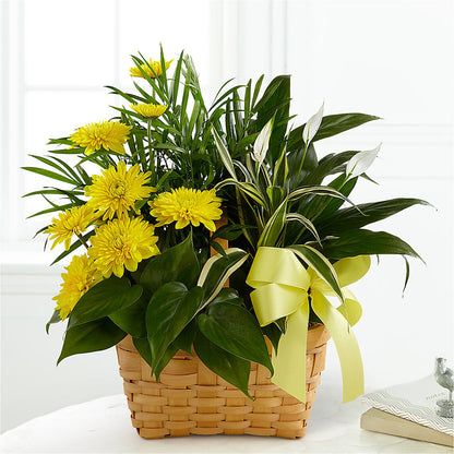 Loving Light Dishgarden –  Woodbury Flowers, Woodbury GA