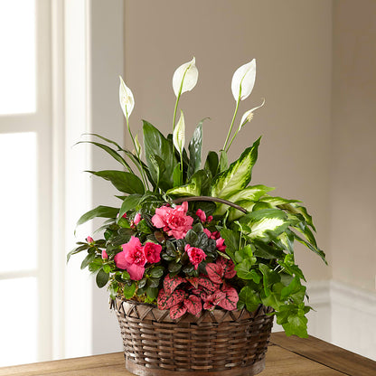 Dream in Pink Dishgarden –  Woodbury Flowers, Woodbury GA
