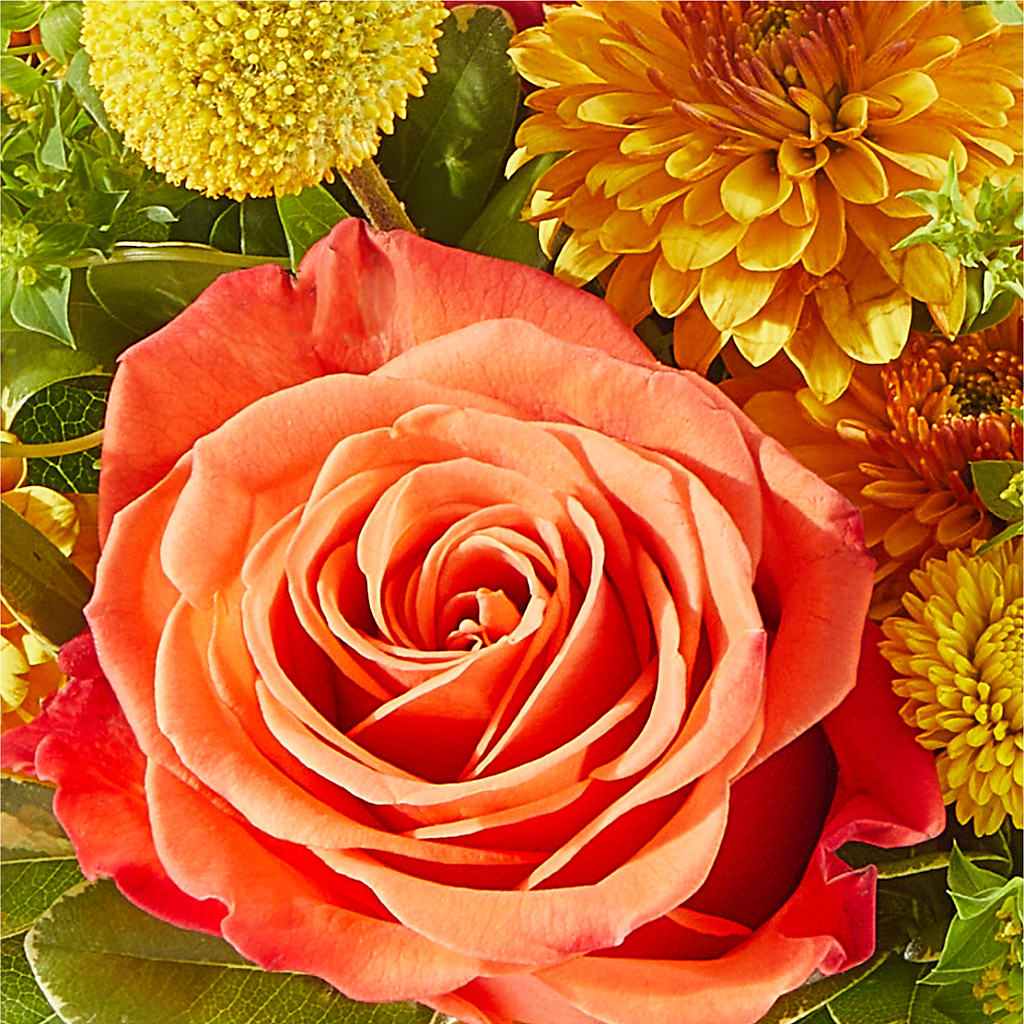 Gourdgeous Pumpkin –  Woodbury Flowers, Woodbury GA