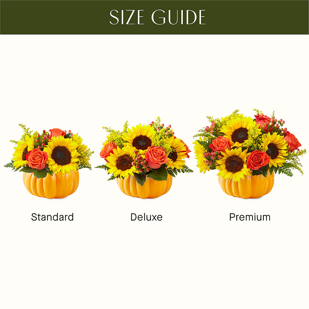 Pick of the Patch Pumpkin Bouquet –  Woodbury Flowers, Woodbury GA