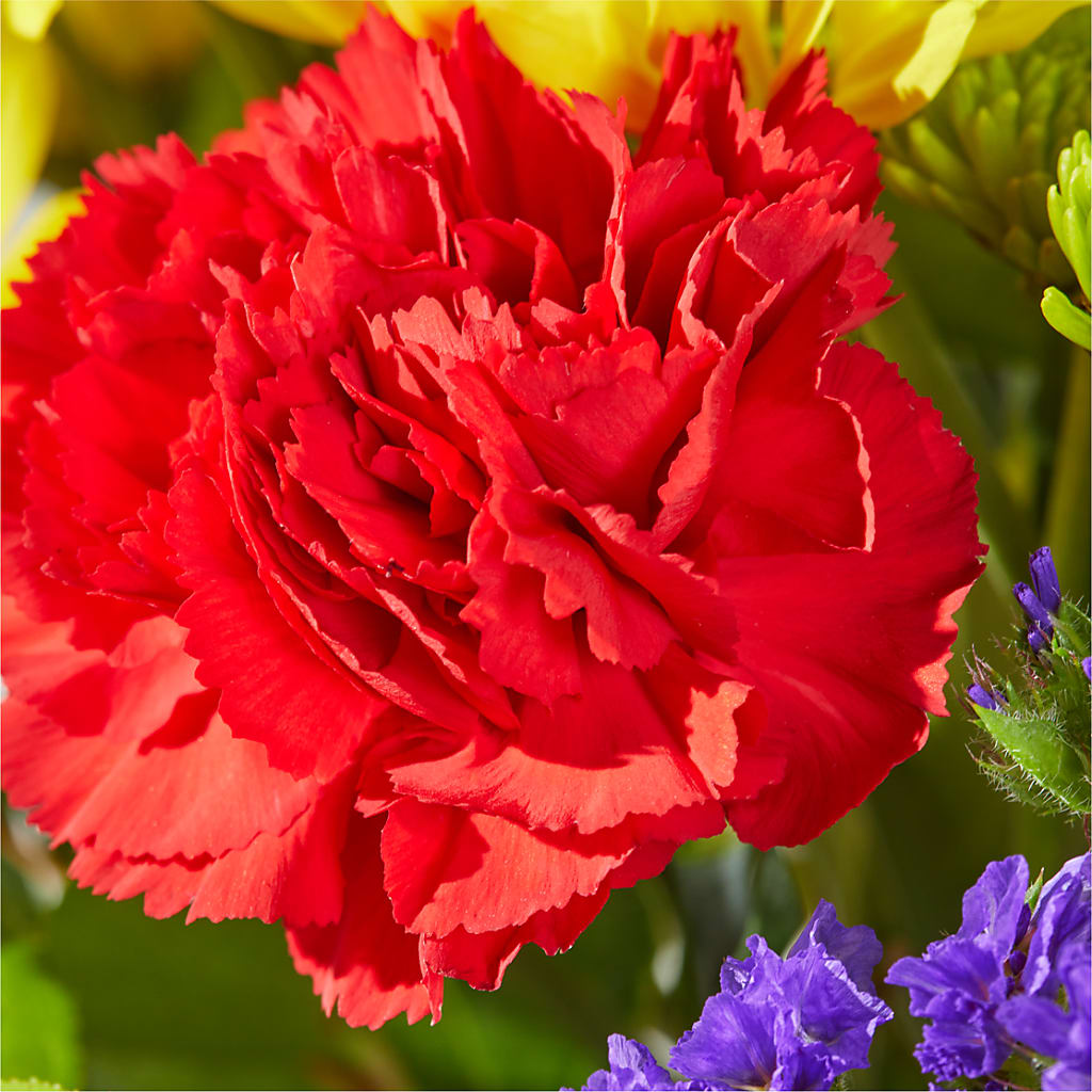 Brighter Days Bouquet –  Woodbury Flowers, Woodbury GA