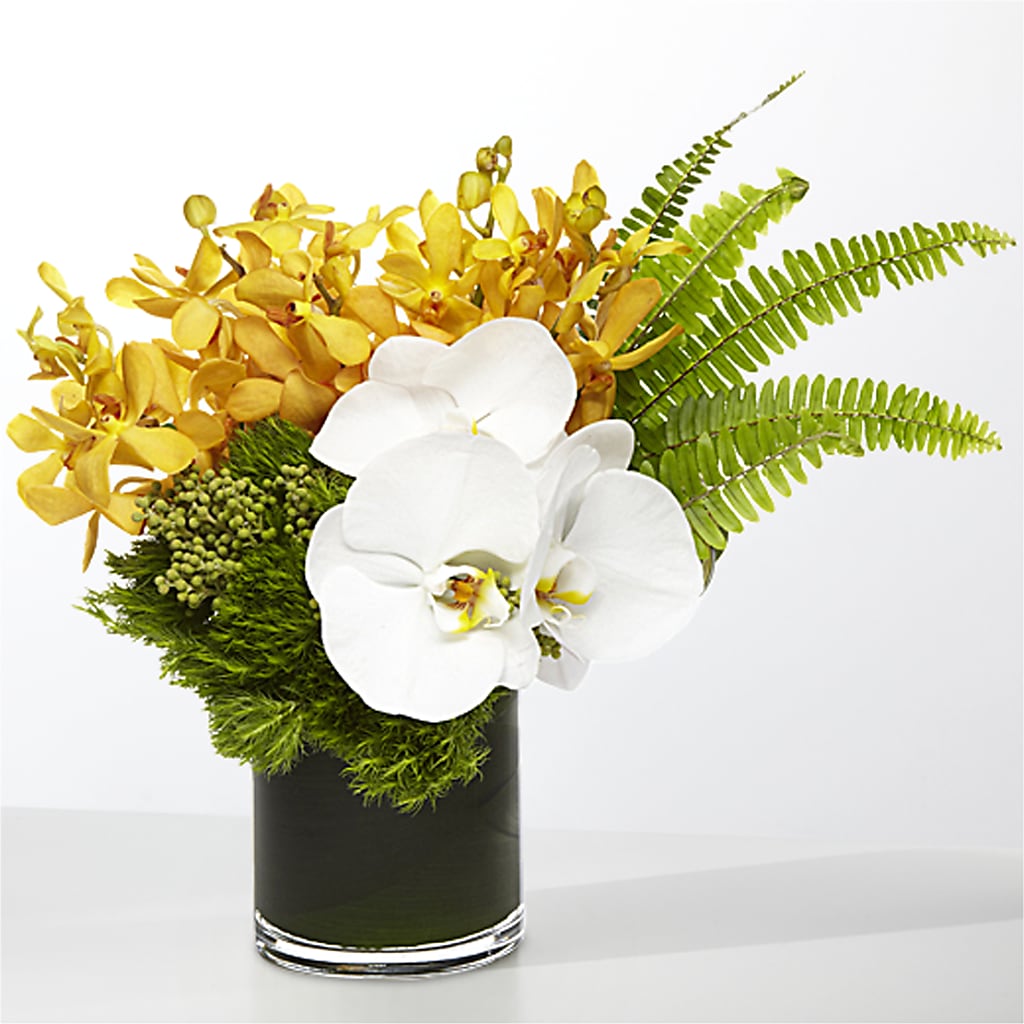 The Tropics –  Woodbury Flowers, Woodbury GA