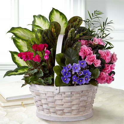 Peaceful Garden Planter –  Woodbury Flowers, Woodbury GA