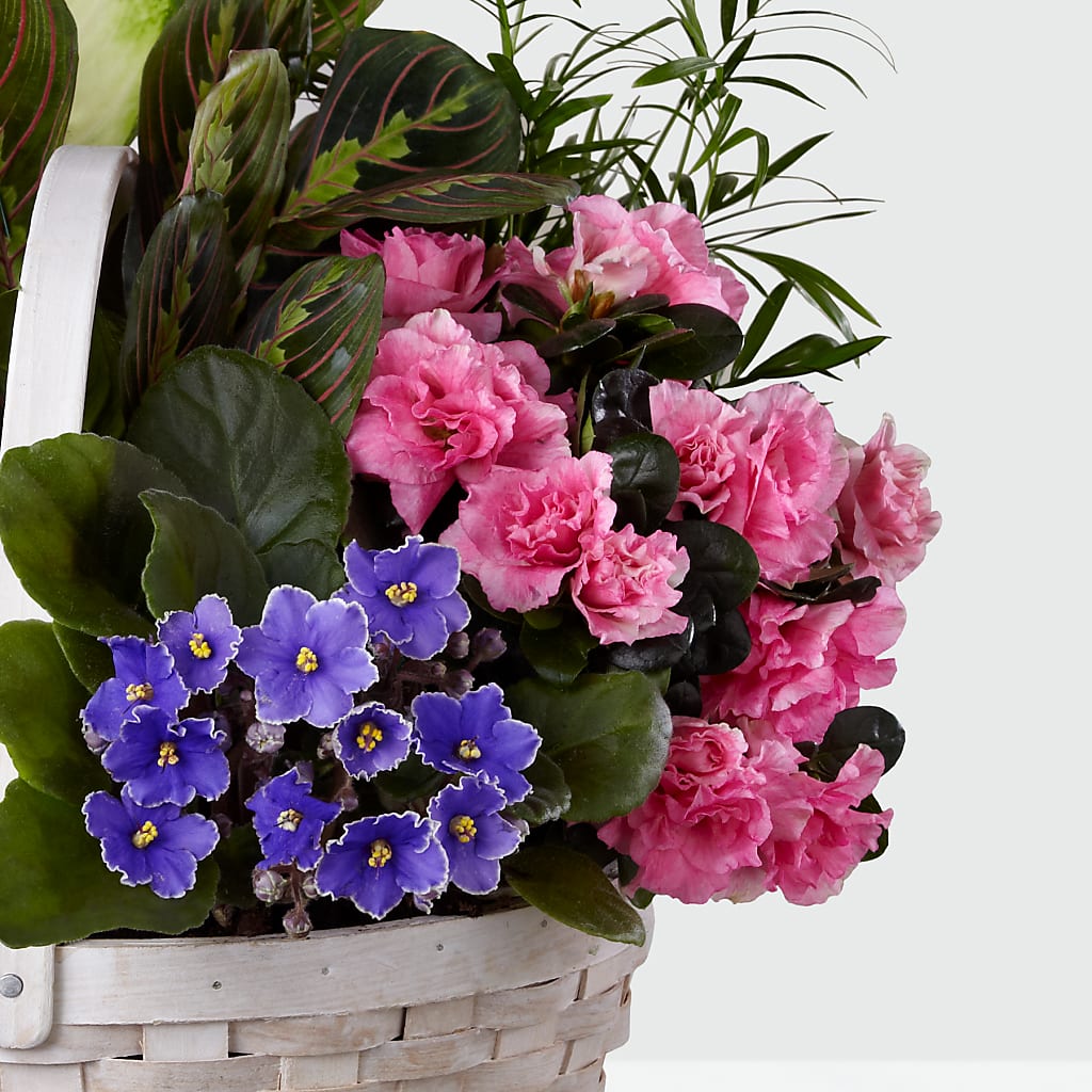 Peaceful Garden Planter –  Woodbury Flowers, Woodbury GA