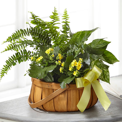 Always Dear Dishgarden –  Woodbury Flowers, Woodbury GA