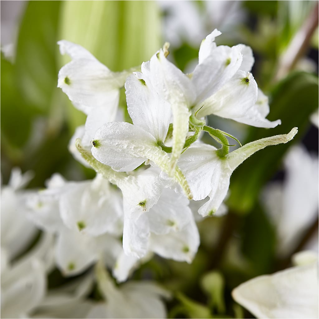 Classic Ivory – A Florist Original –  Woodbury Flowers, Woodbury GA
