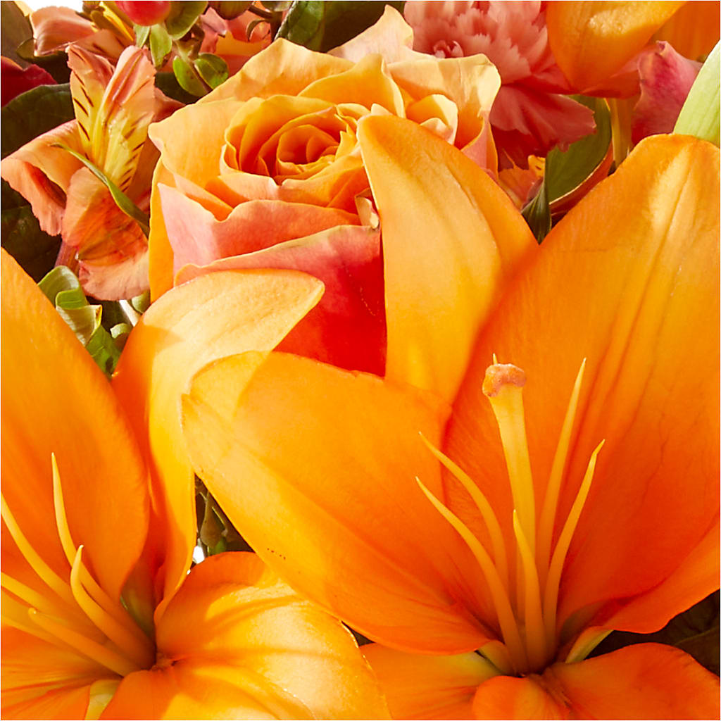 Afternoon Light Bouquet –  Woodbury Flowers, Woodbury GA