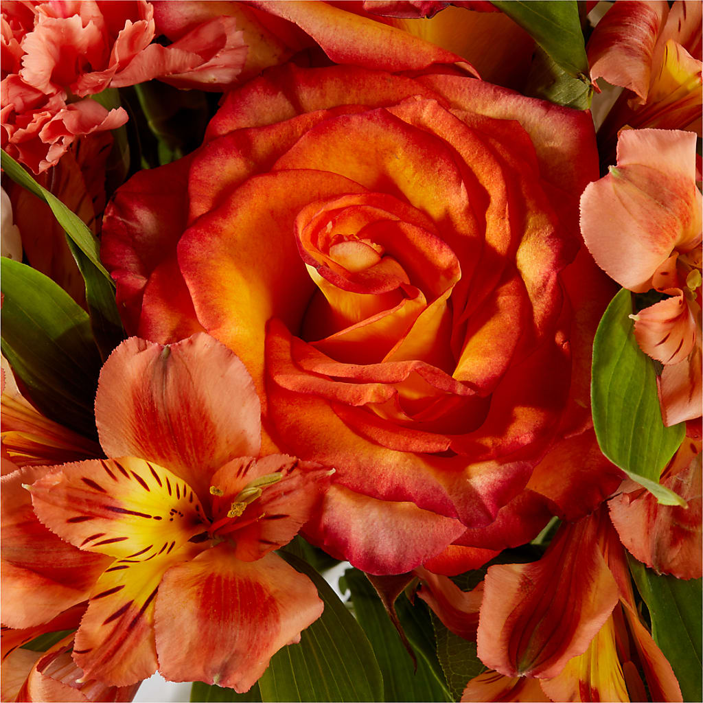 Apricot Glow Bouquet –  Woodbury Flowers, Woodbury GA