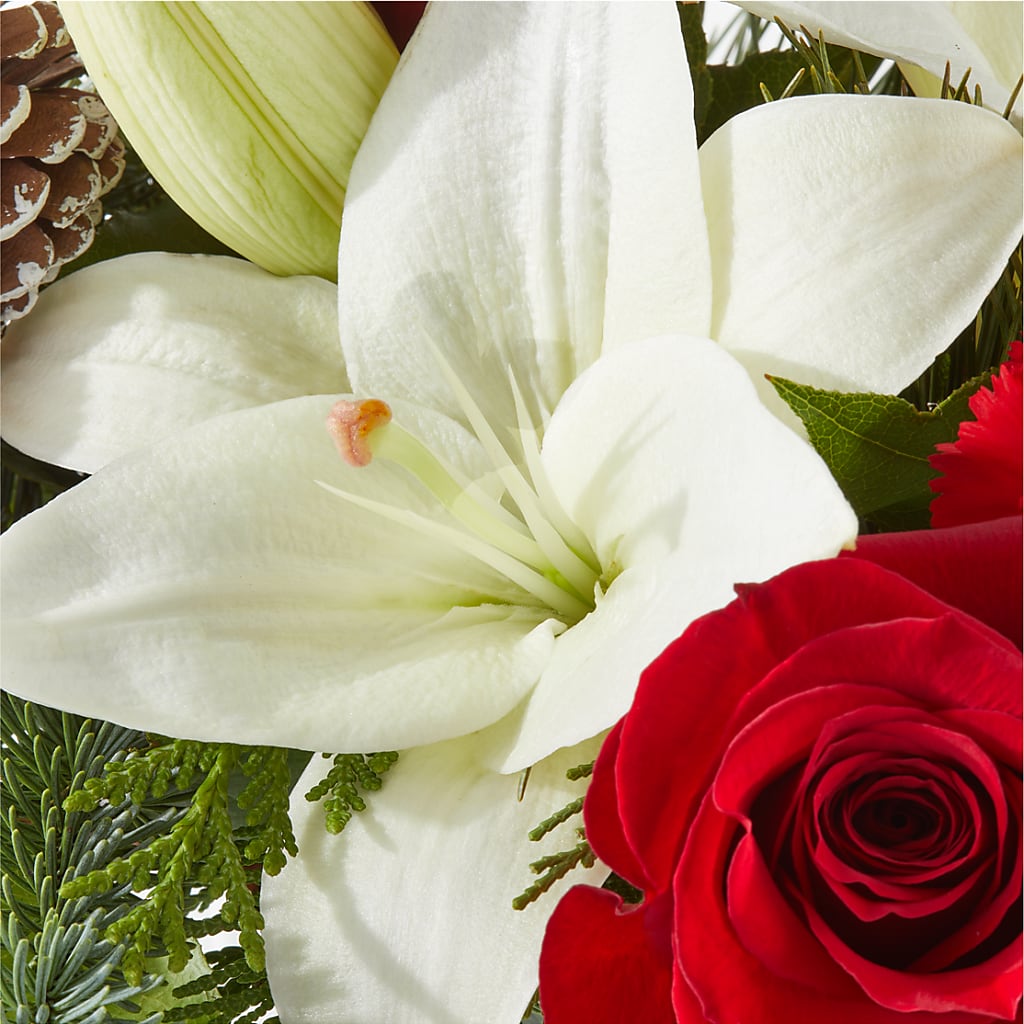 Oh So Jolly Bouquet –  Woodbury Flowers, Woodbury GA