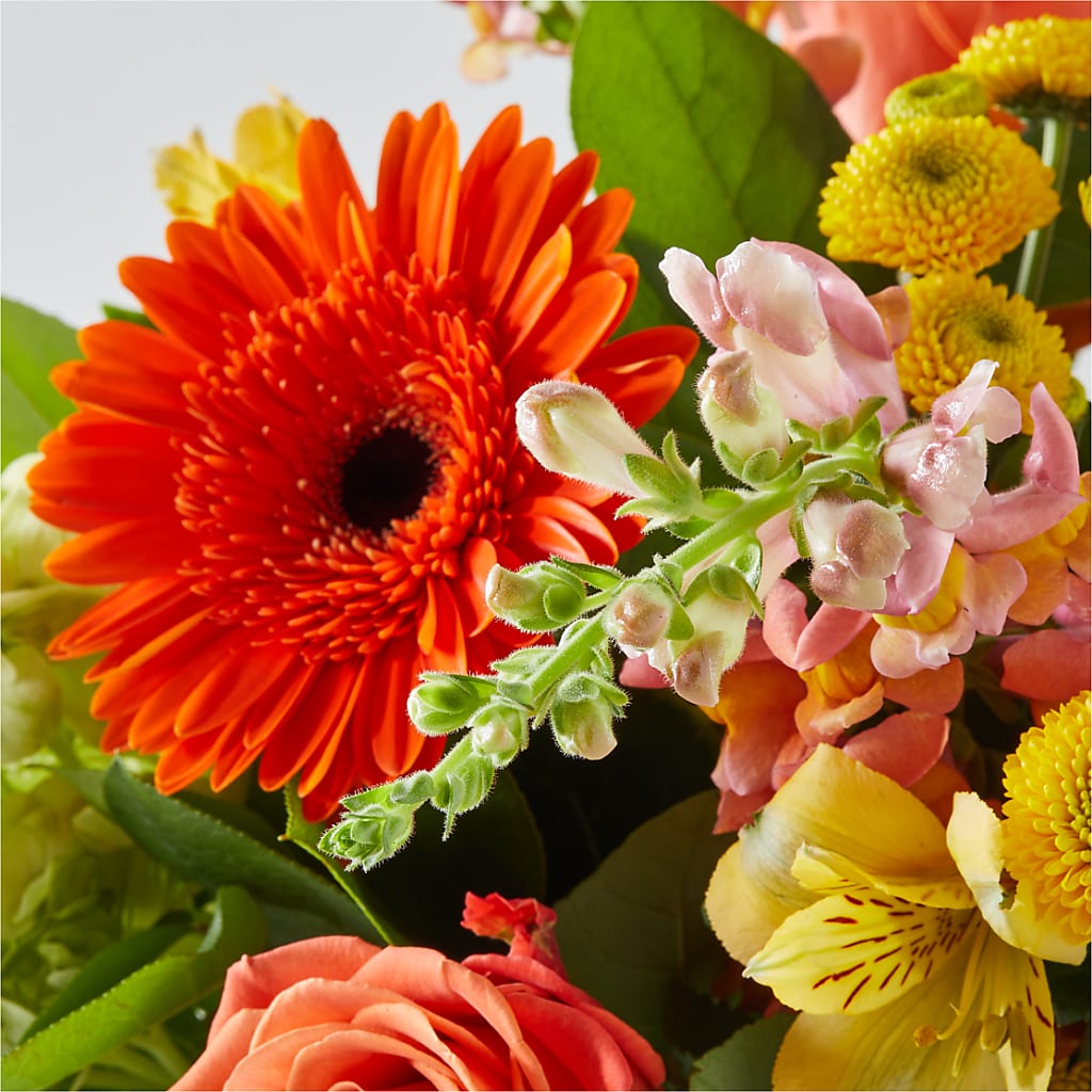 Autumn Sunshine Bouquet –  Woodbury Flowers, Woodbury GA