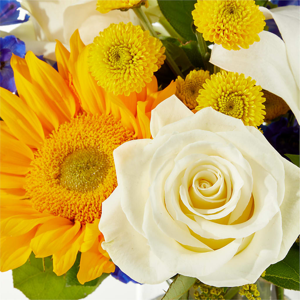 Stargazing Bouquet –  Woodbury Flowers, Woodbury GA