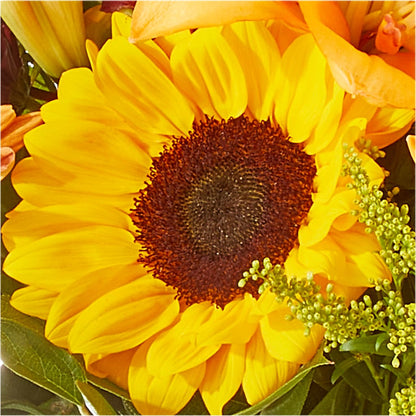 Seasons Change Bouquet –  Woodbury Flowers, Woodbury GA