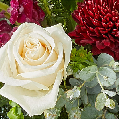 Cranberry Fizz Bouquet –  Woodbury Flowers, Woodbury GA