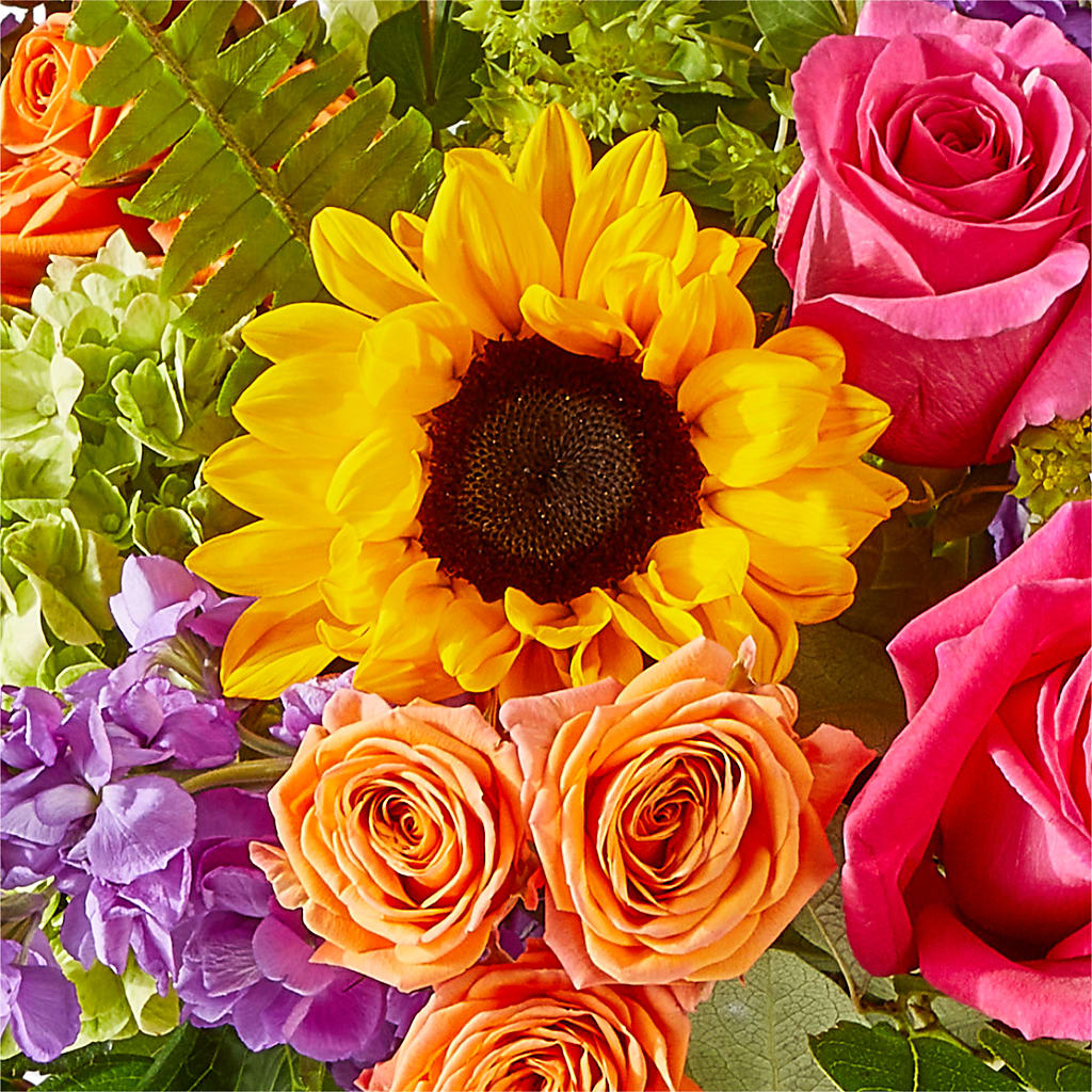 Vibrant Greetings Bouquet –  Woodbury Flowers, Woodbury GA