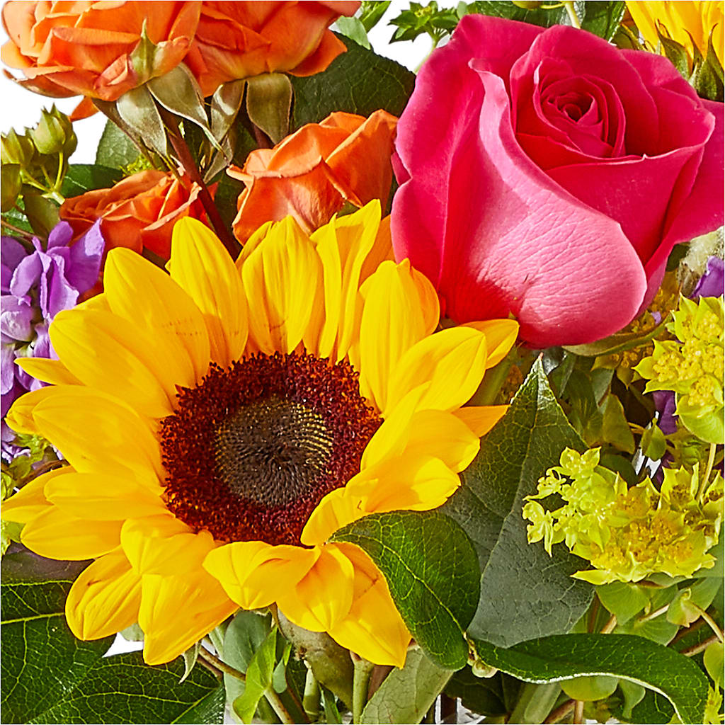 Vibrant Greetings Bouquet –  Woodbury Flowers, Woodbury GA