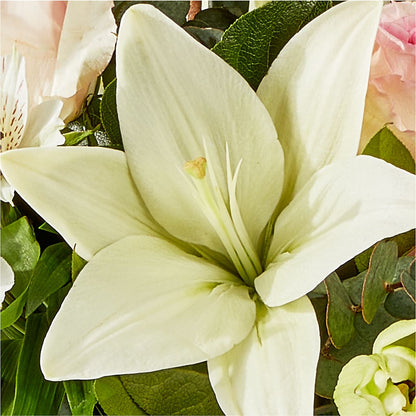 Ballet Slippers Bouquet –  Woodbury Flowers, Woodbury GA