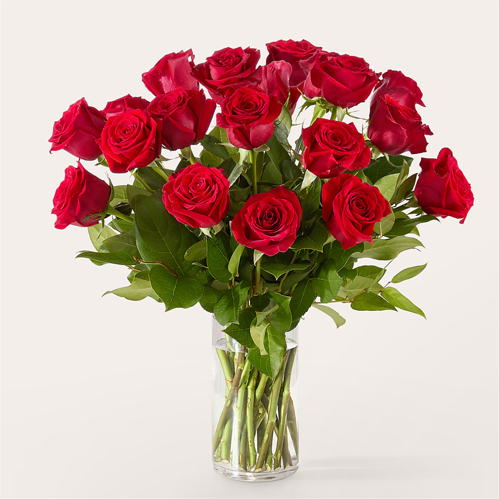 The One Red Rose Bouquet –  Woodbury Flowers, Woodbury GA
