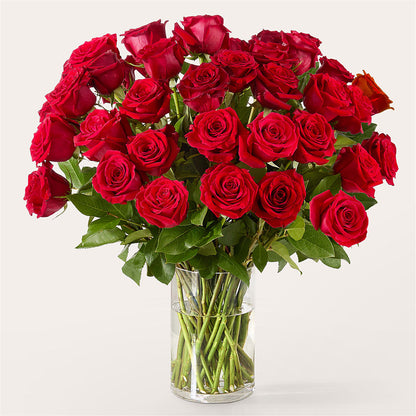 The One Red Rose Bouquet –  Woodbury Flowers, Woodbury GA