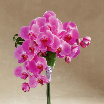 Glorious Bouquet –  Woodbury Flowers, Woodbury GA